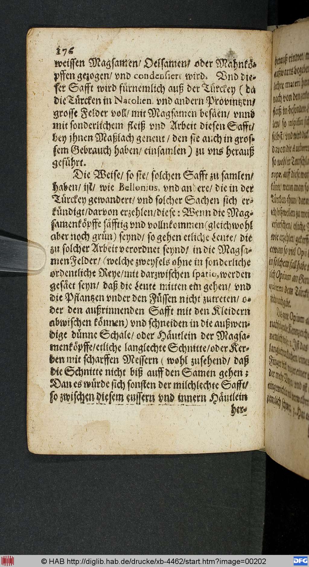 http://diglib.hab.de/drucke/xb-4462/00202.jpg