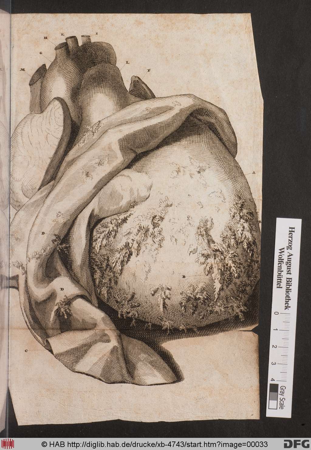 http://diglib.hab.de/drucke/xb-4743/00033.jpg