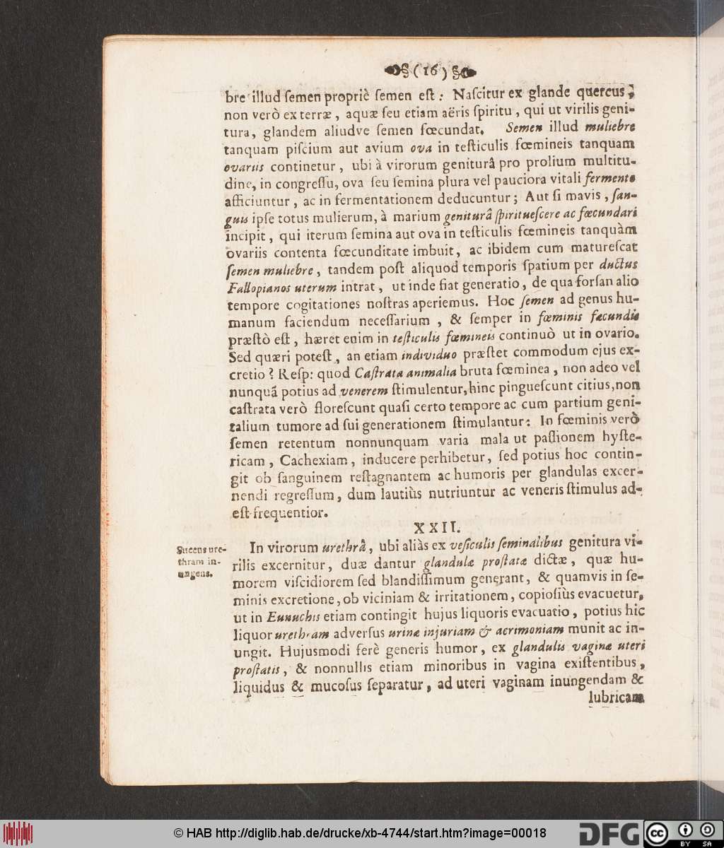 http://diglib.hab.de/drucke/xb-4744/00018.jpg