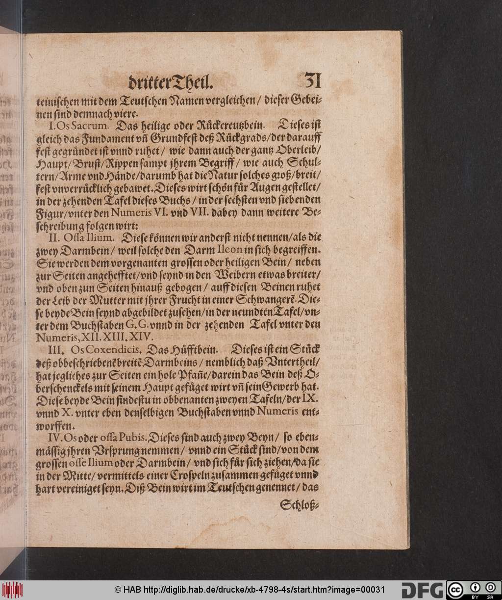 http://diglib.hab.de/drucke/xb-4798-4s/00031.jpg