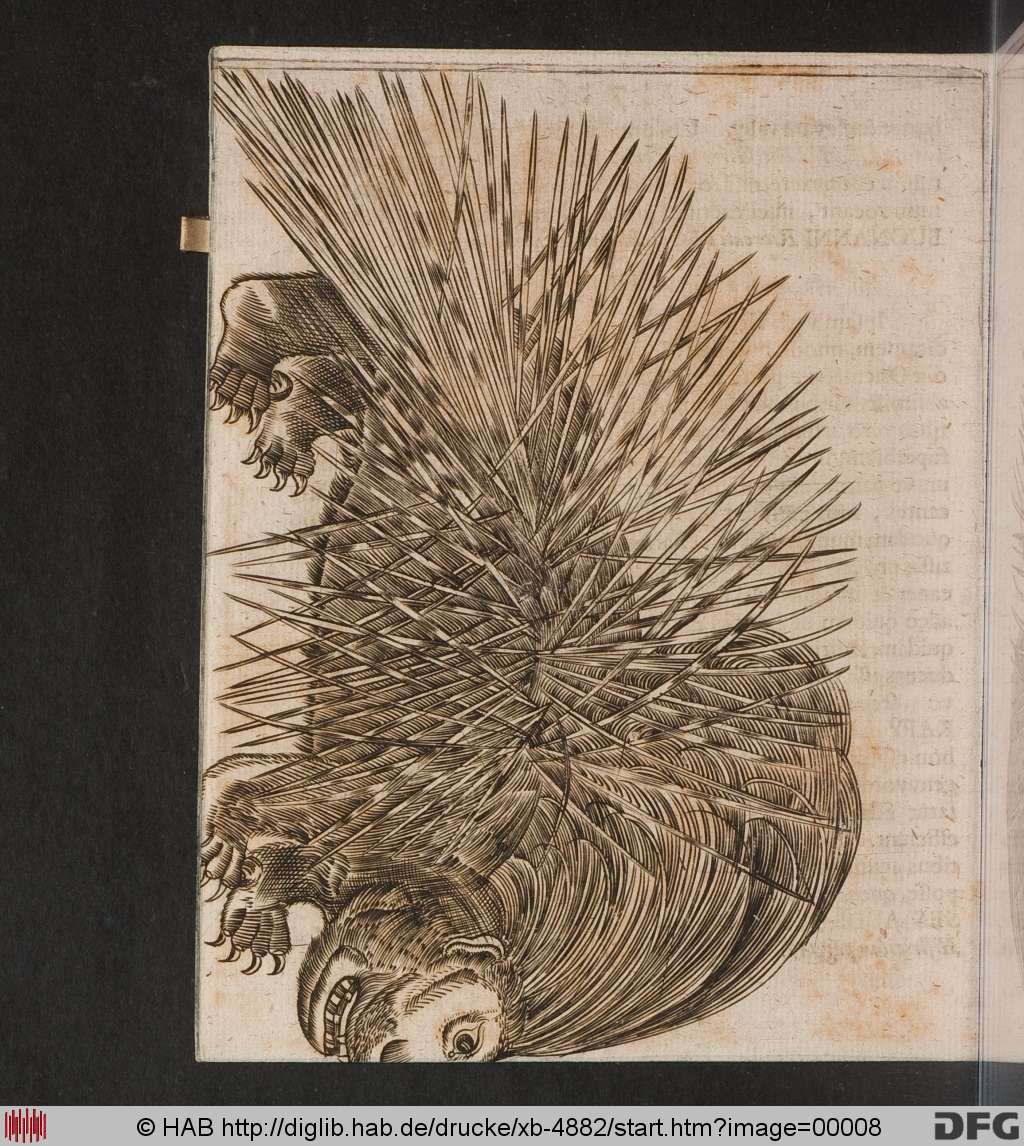 http://diglib.hab.de/drucke/xb-4882/00008.jpg