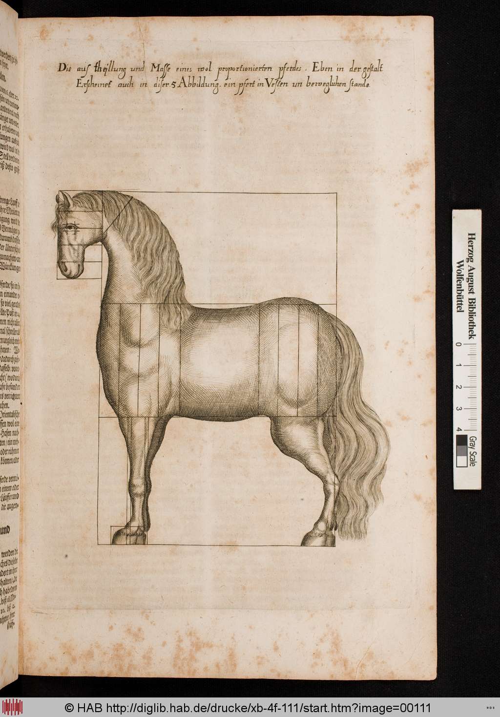 http://diglib.hab.de/drucke/xb-4f-111/00111.jpg