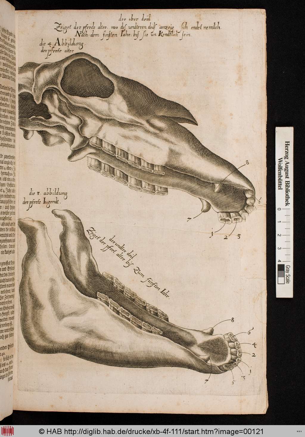 http://diglib.hab.de/drucke/xb-4f-111/00121.jpg