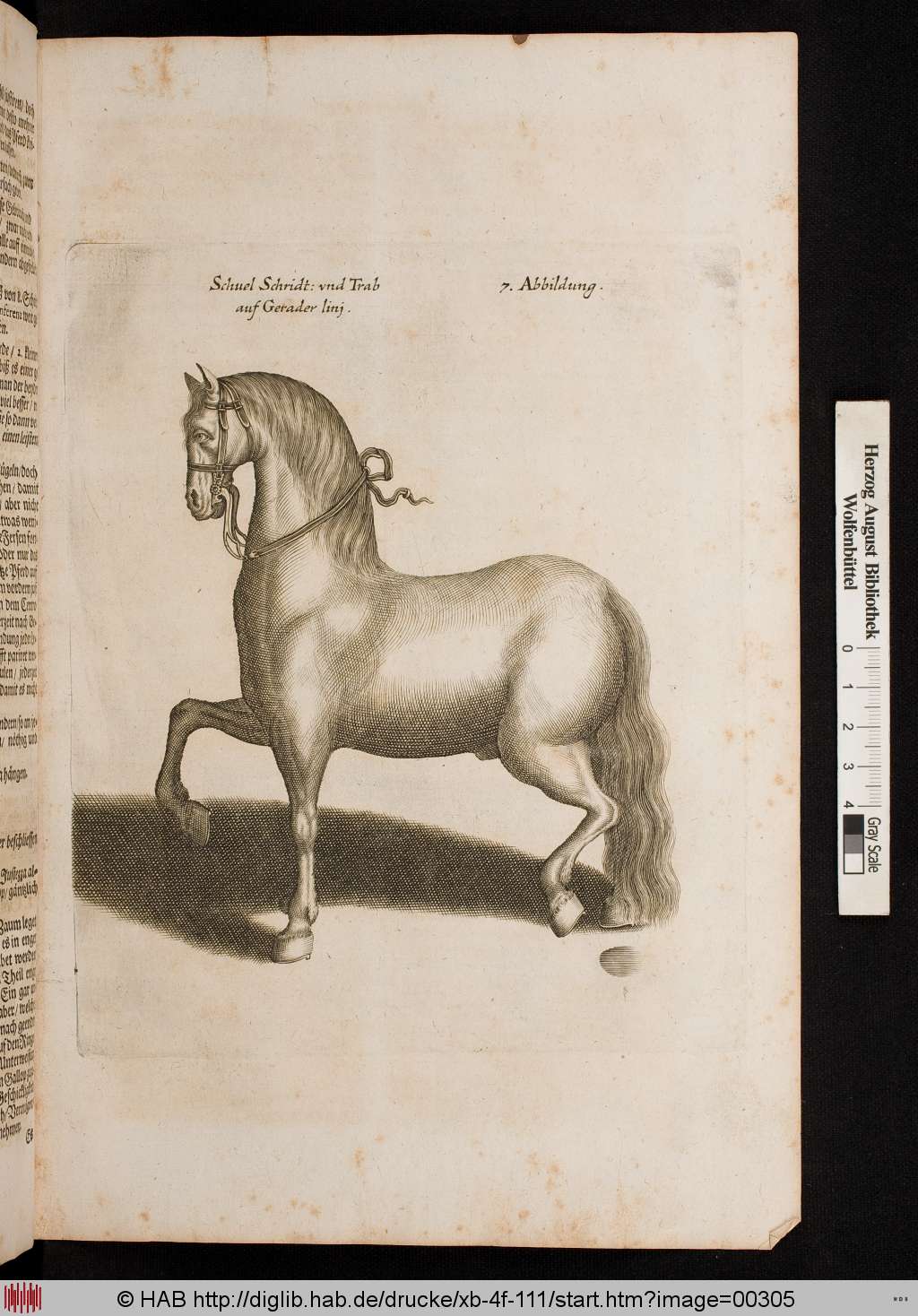 http://diglib.hab.de/drucke/xb-4f-111/00305.jpg