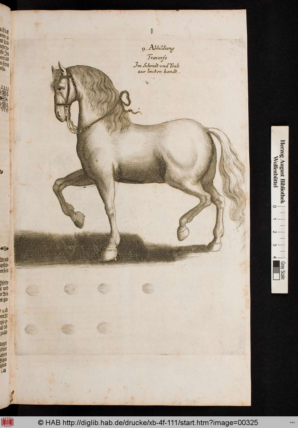 http://diglib.hab.de/drucke/xb-4f-111/00325.jpg
