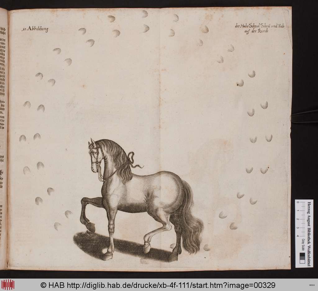 http://diglib.hab.de/drucke/xb-4f-111/00329.jpg