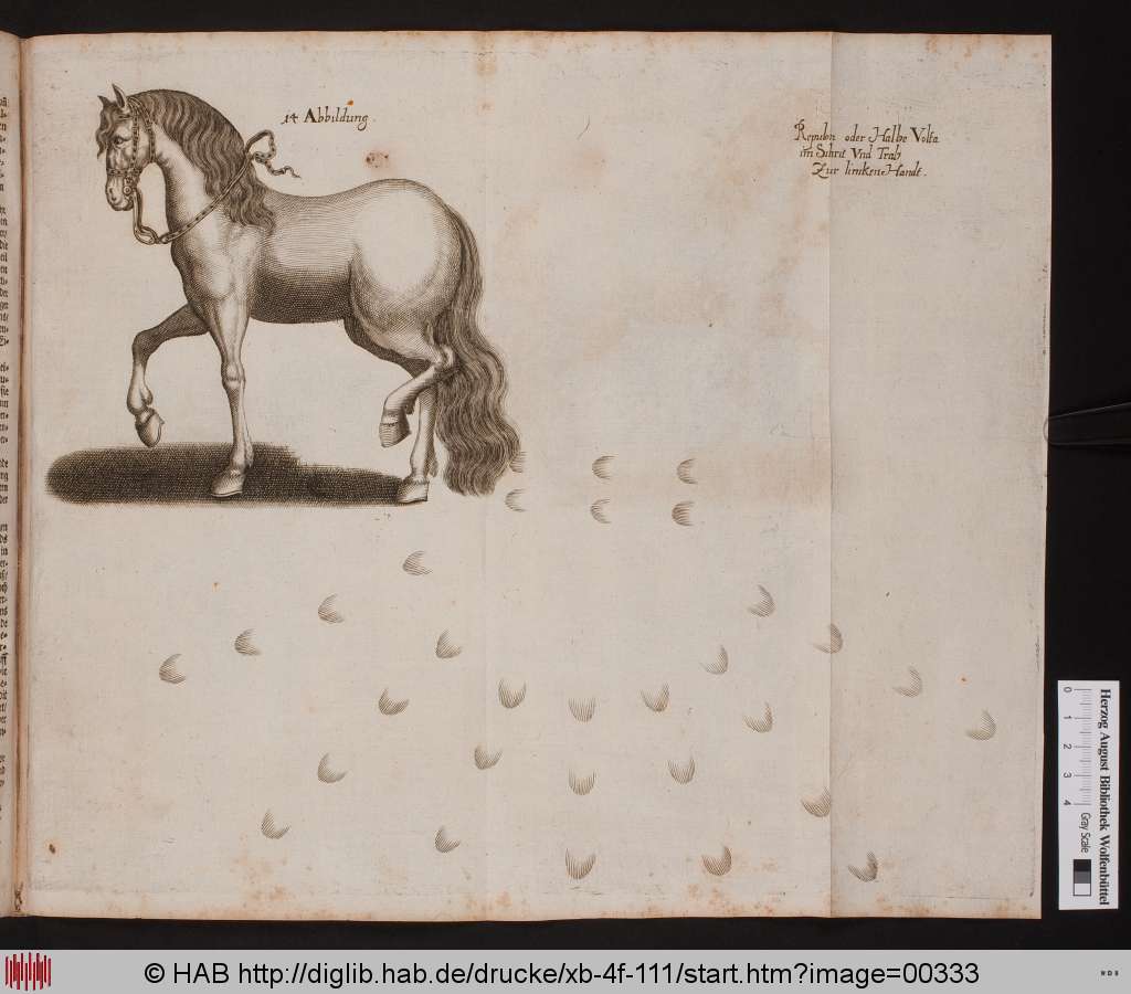 http://diglib.hab.de/drucke/xb-4f-111/00333.jpg