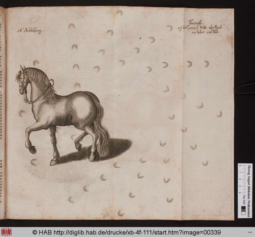 http://diglib.hab.de/drucke/xb-4f-111/00339.jpg
