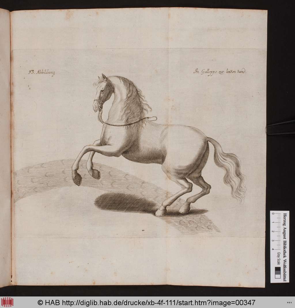 http://diglib.hab.de/drucke/xb-4f-111/00347.jpg