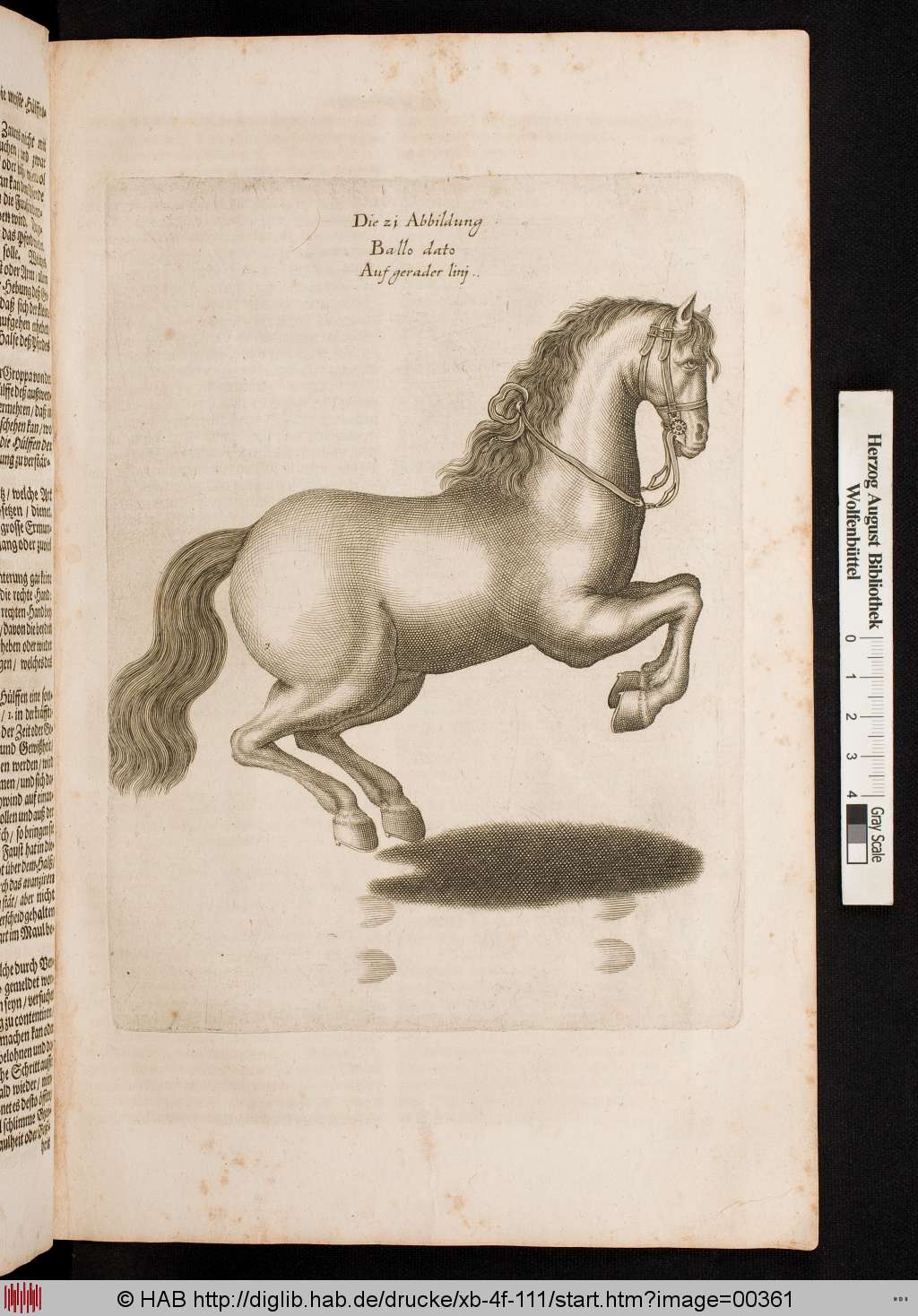 http://diglib.hab.de/drucke/xb-4f-111/00361.jpg