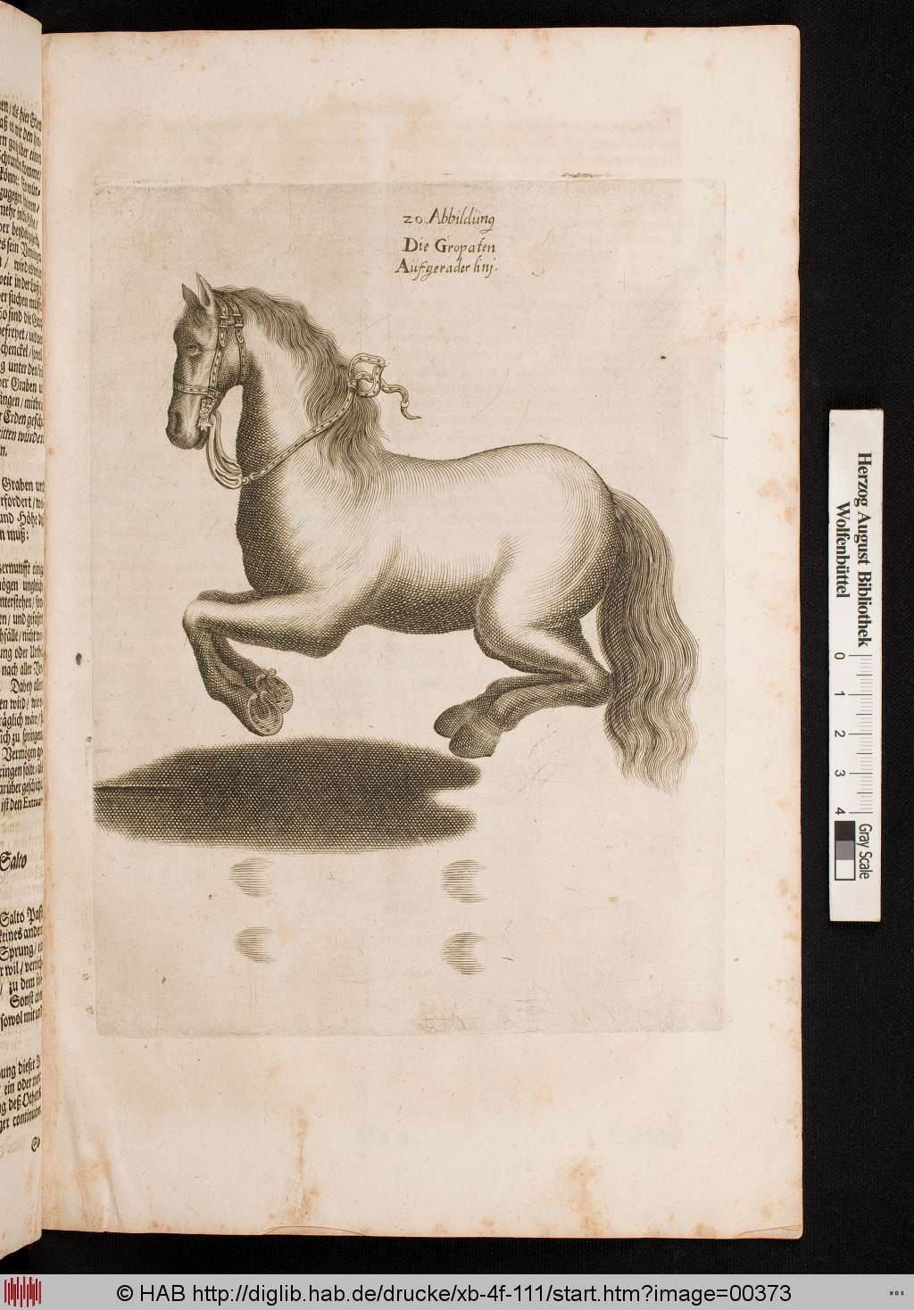 http://diglib.hab.de/drucke/xb-4f-111/00373.jpg