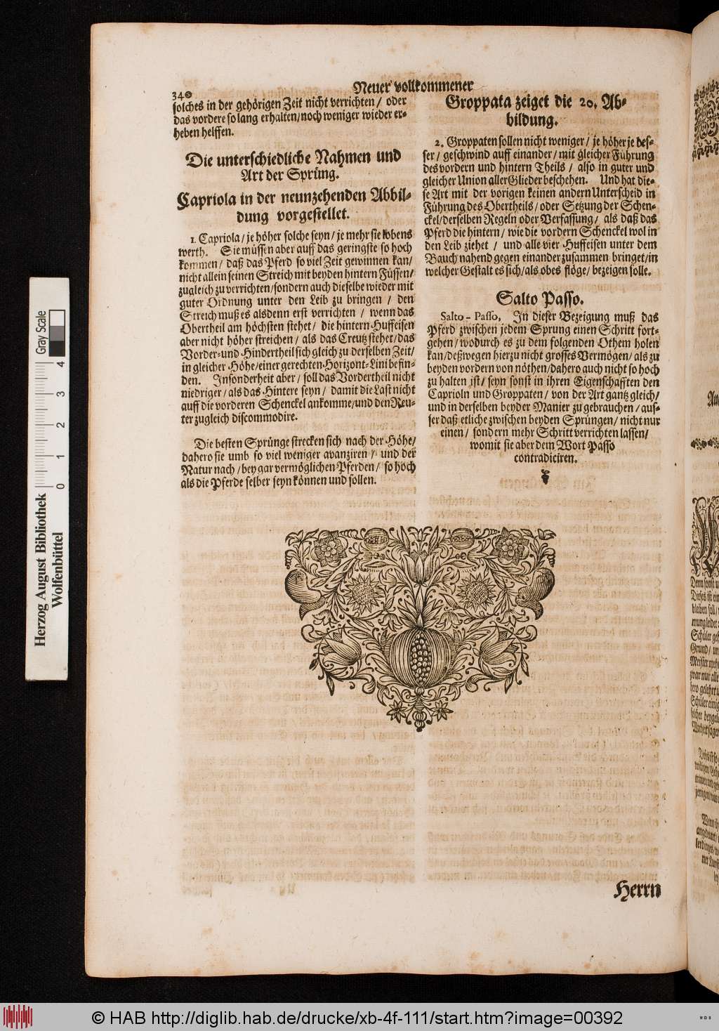http://diglib.hab.de/drucke/xb-4f-111/00392.jpg