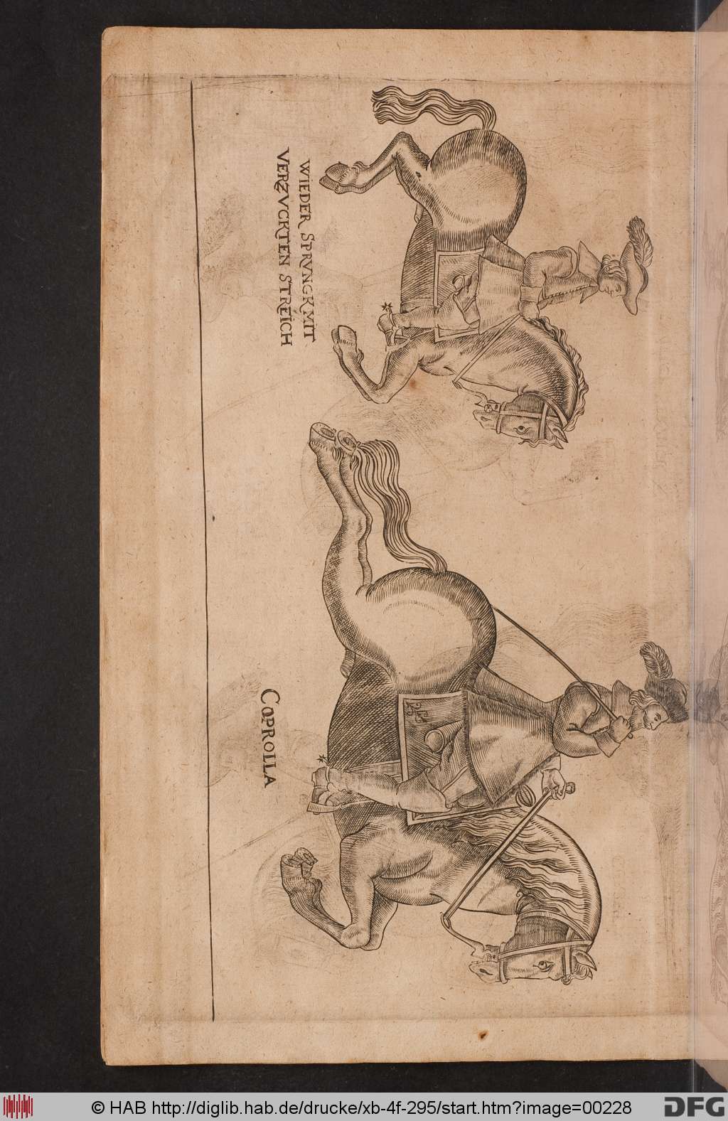 http://diglib.hab.de/drucke/xb-4f-295/00228.jpg
