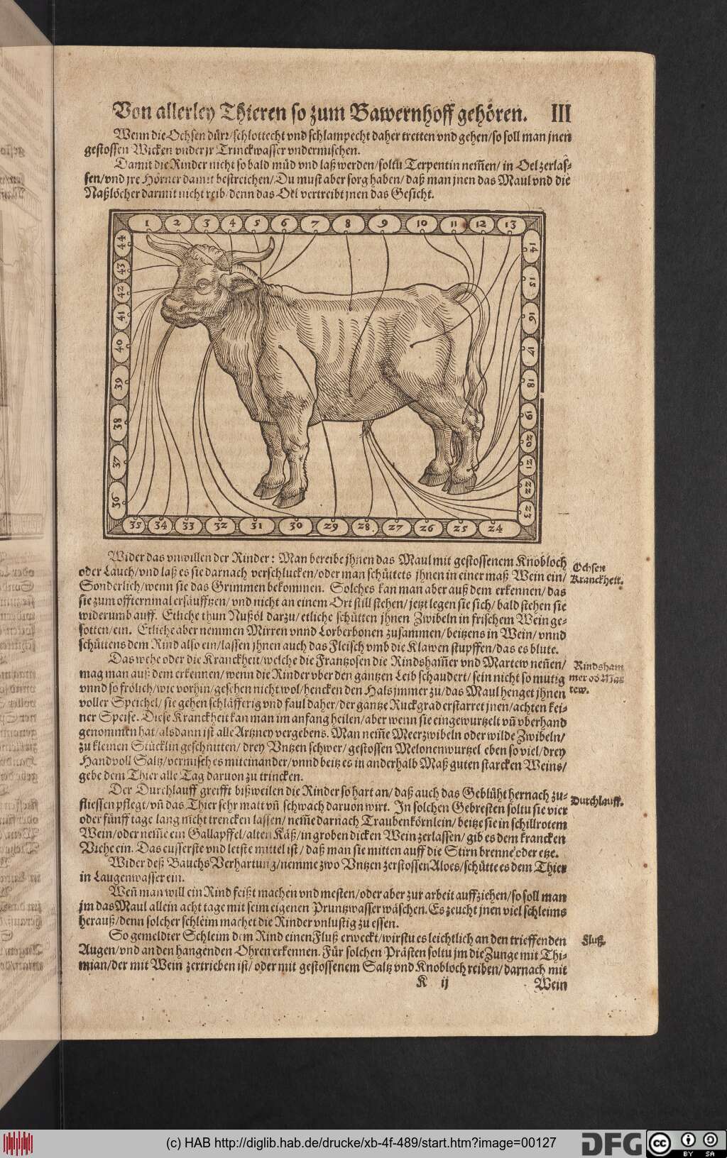 http://diglib.hab.de/drucke/xb-4f-489/00127.jpg
