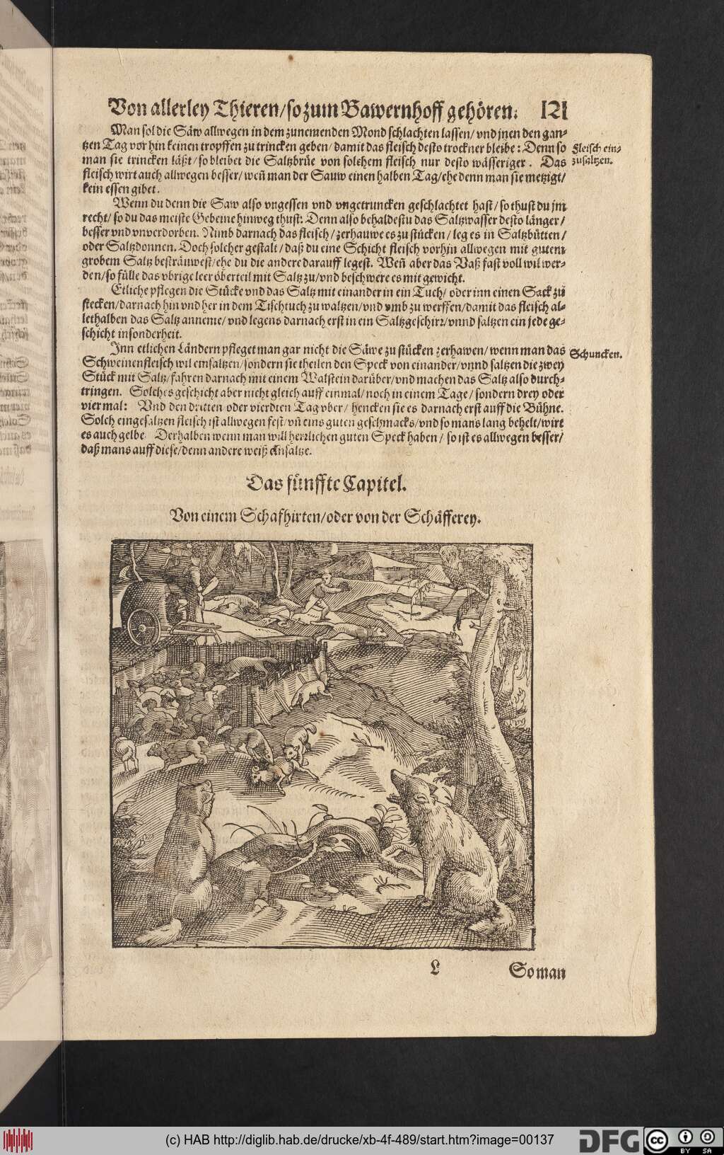 http://diglib.hab.de/drucke/xb-4f-489/00137.jpg