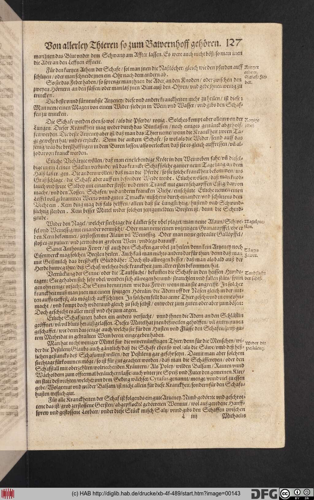 http://diglib.hab.de/drucke/xb-4f-489/00143.jpg