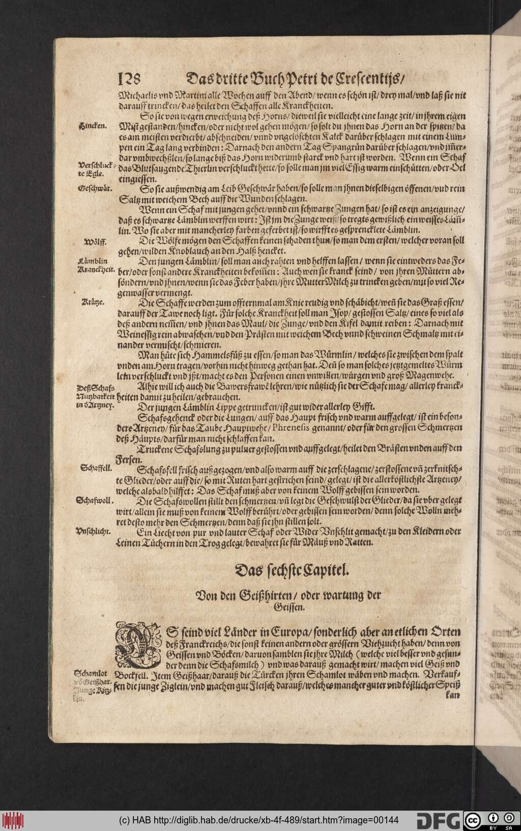 http://diglib.hab.de/drucke/xb-4f-489/00144.jpg