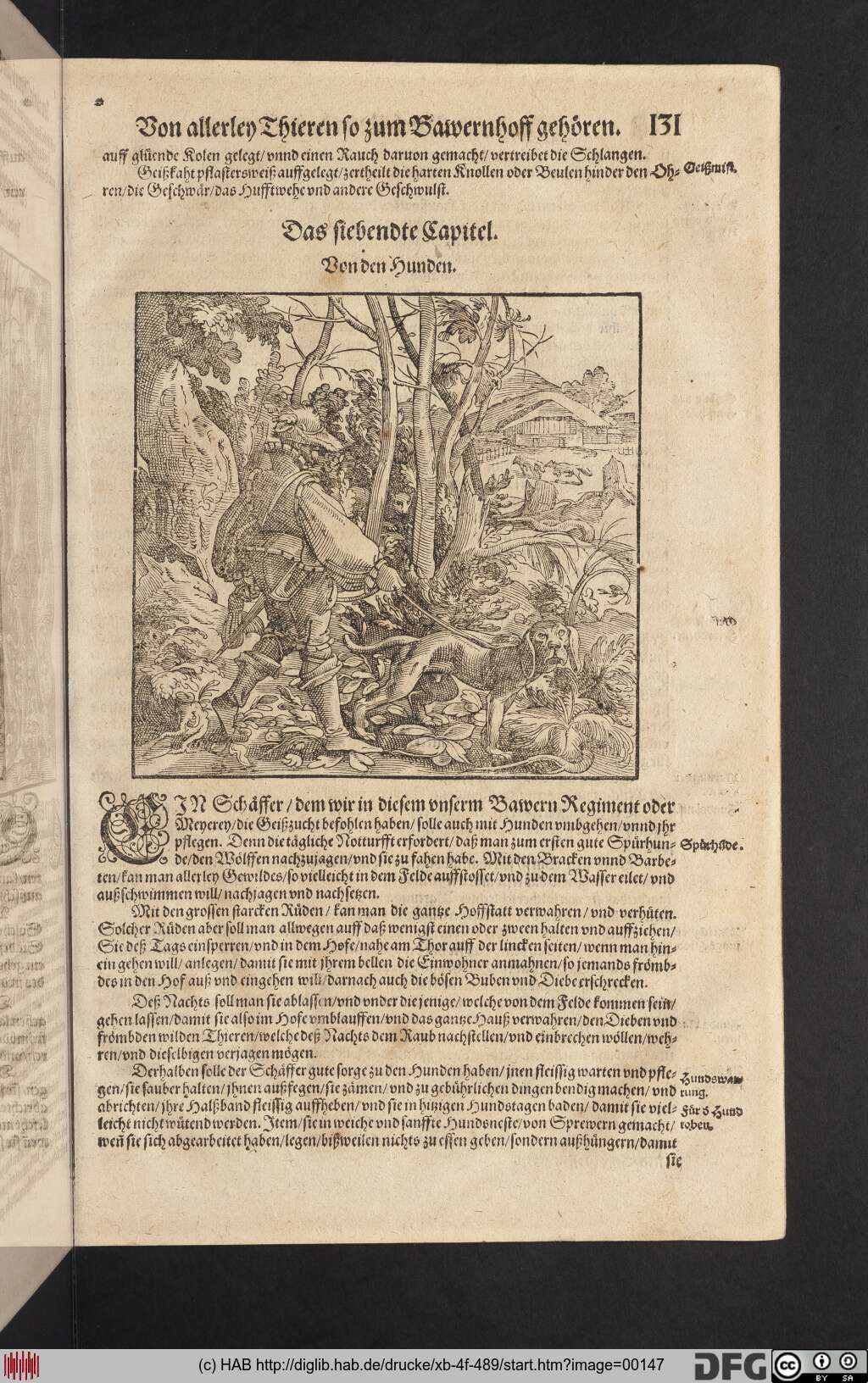 http://diglib.hab.de/drucke/xb-4f-489/00147.jpg