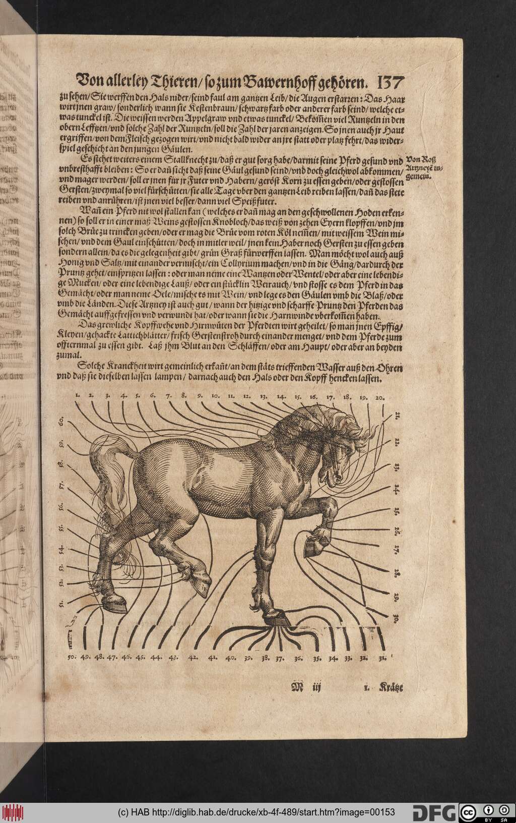 http://diglib.hab.de/drucke/xb-4f-489/00153.jpg