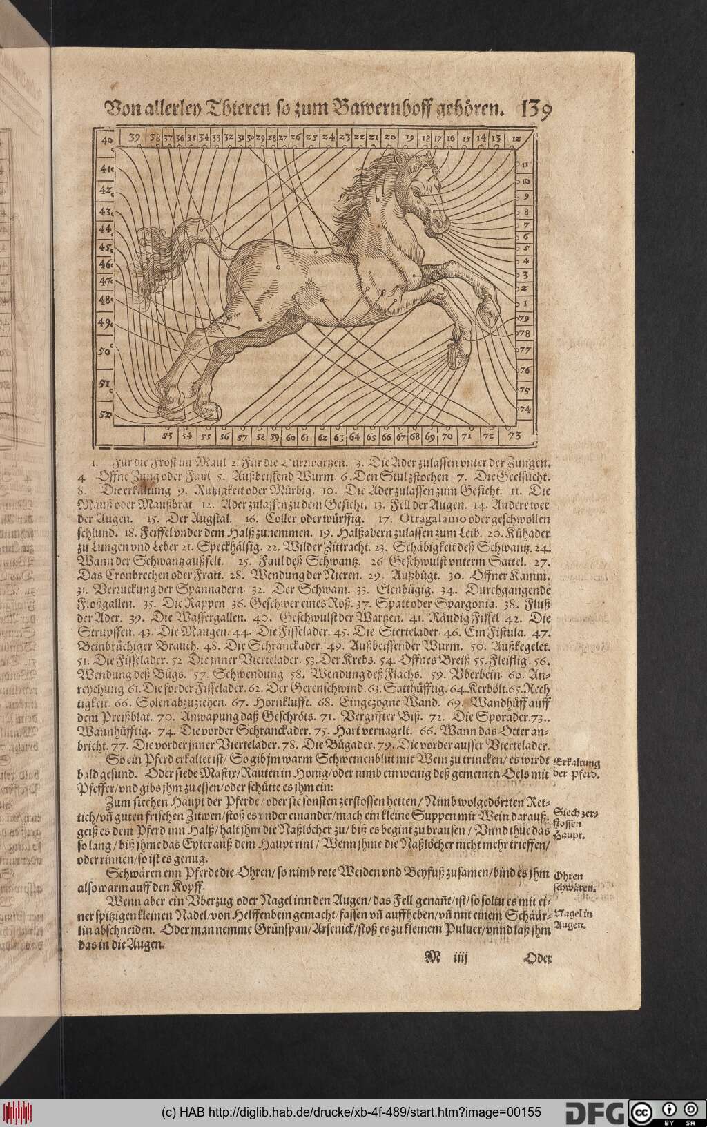 http://diglib.hab.de/drucke/xb-4f-489/00155.jpg