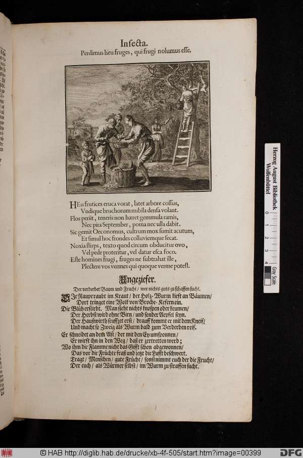http://diglib.hab.de/drucke/xb-4f-505/min/00399.jpg