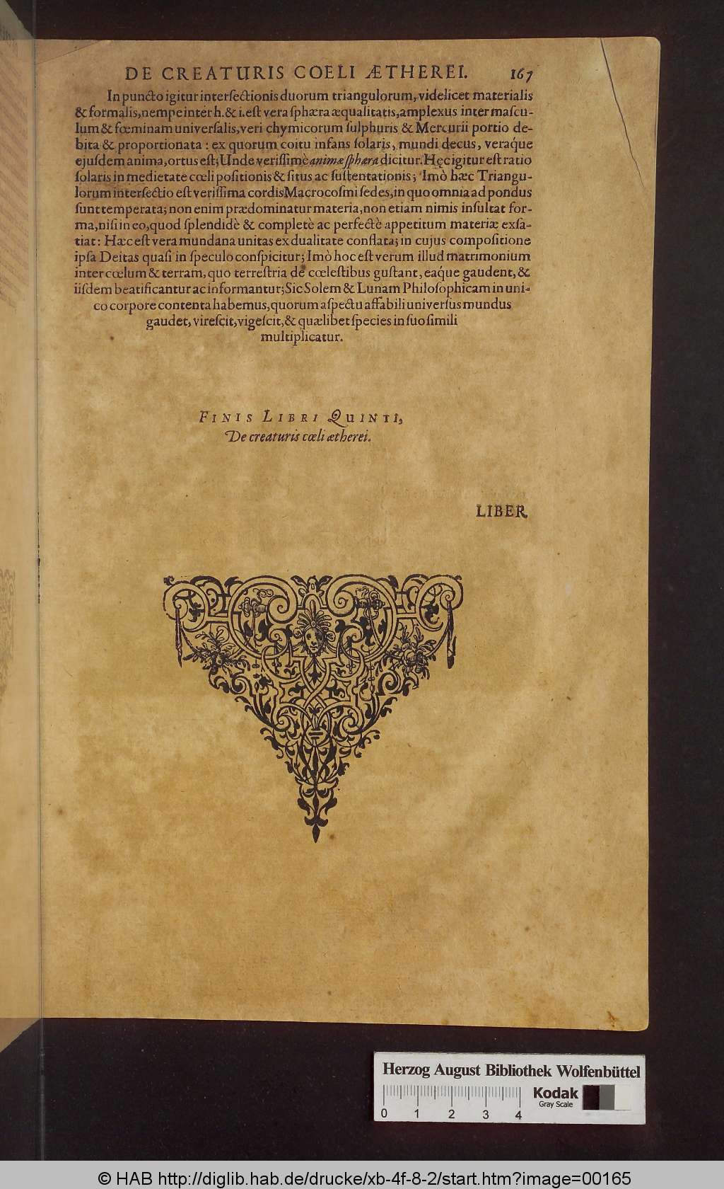 http://diglib.hab.de/drucke/xb-4f-8-2/00165.jpg