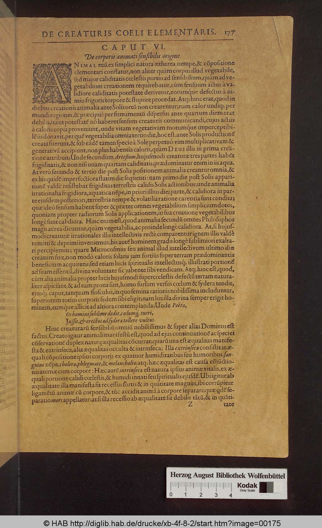 http://diglib.hab.de/drucke/xb-4f-8-2/00175.jpg