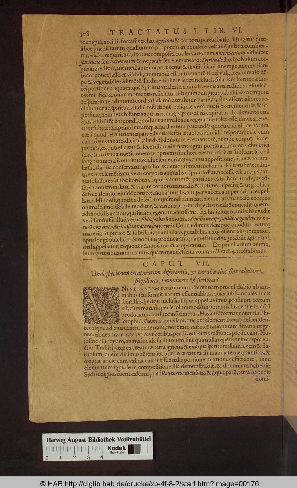 http://diglib.hab.de/drucke/xb-4f-8-2/00176.jpg