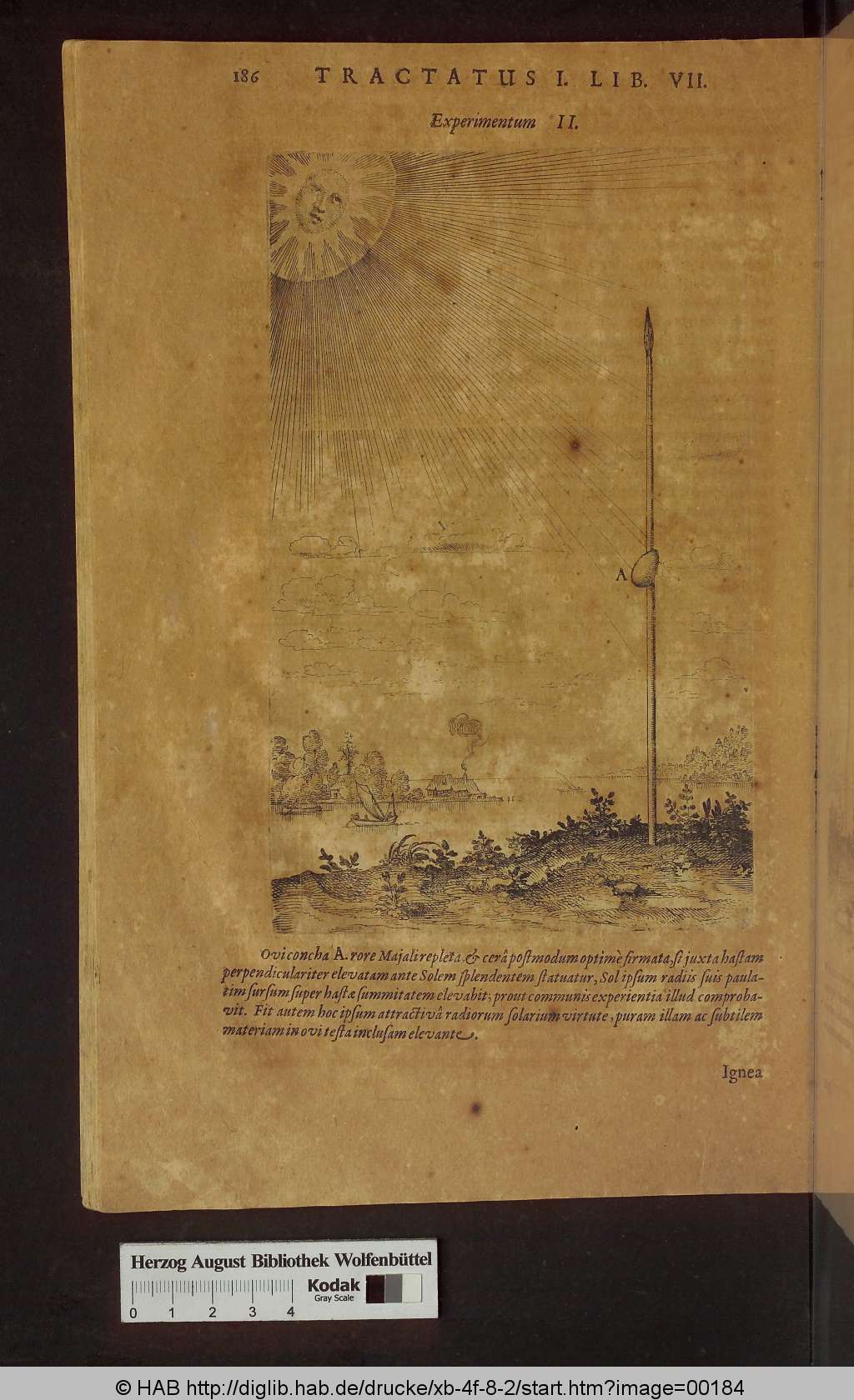 http://diglib.hab.de/drucke/xb-4f-8-2/00184.jpg