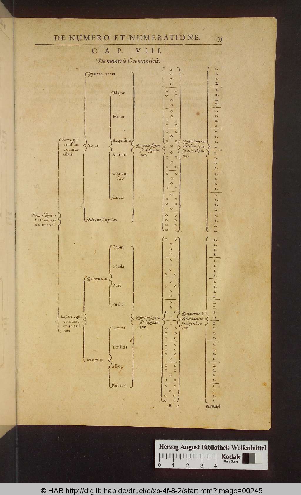 http://diglib.hab.de/drucke/xb-4f-8-2/00245.jpg