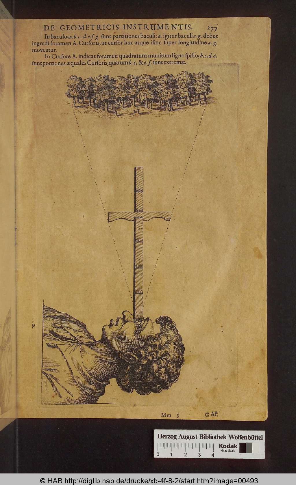 http://diglib.hab.de/drucke/xb-4f-8-2/00493.jpg