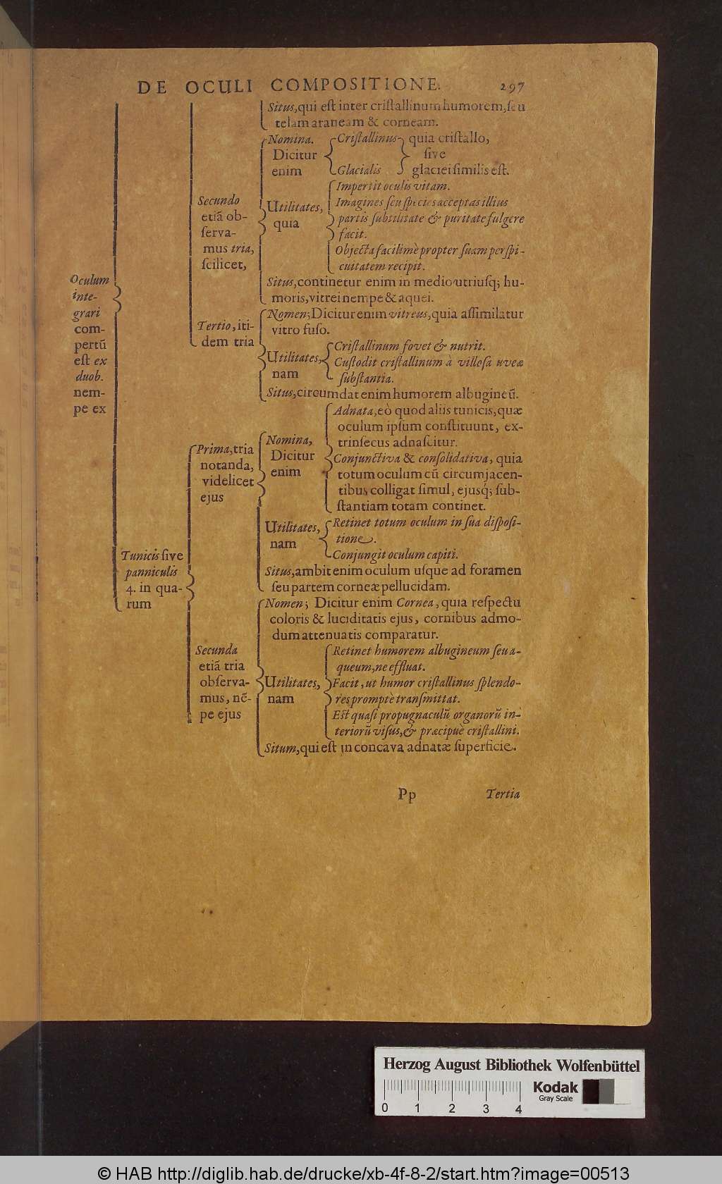 http://diglib.hab.de/drucke/xb-4f-8-2/00513.jpg