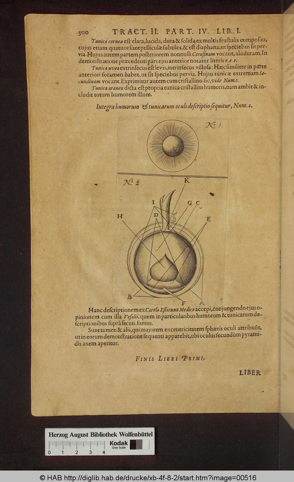 http://diglib.hab.de/drucke/xb-4f-8-2/00516.jpg