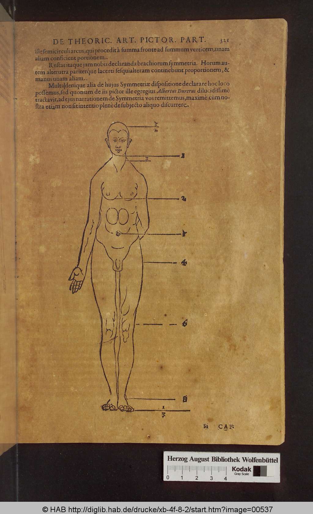 http://diglib.hab.de/drucke/xb-4f-8-2/00537.jpg