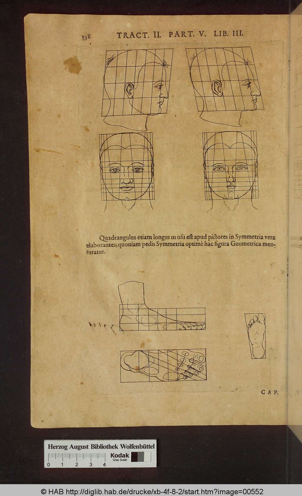 http://diglib.hab.de/drucke/xb-4f-8-2/00552.jpg