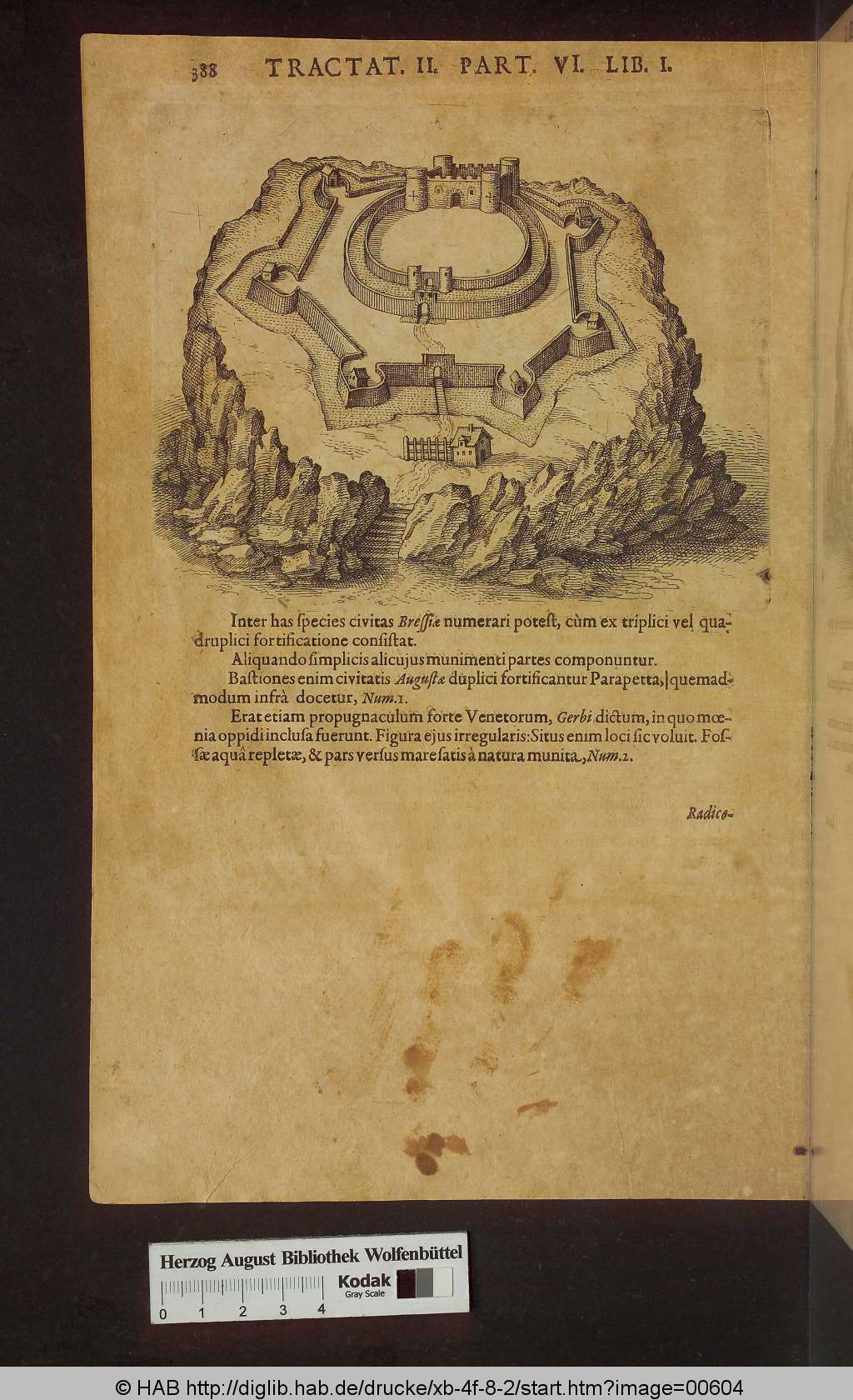http://diglib.hab.de/drucke/xb-4f-8-2/00604.jpg