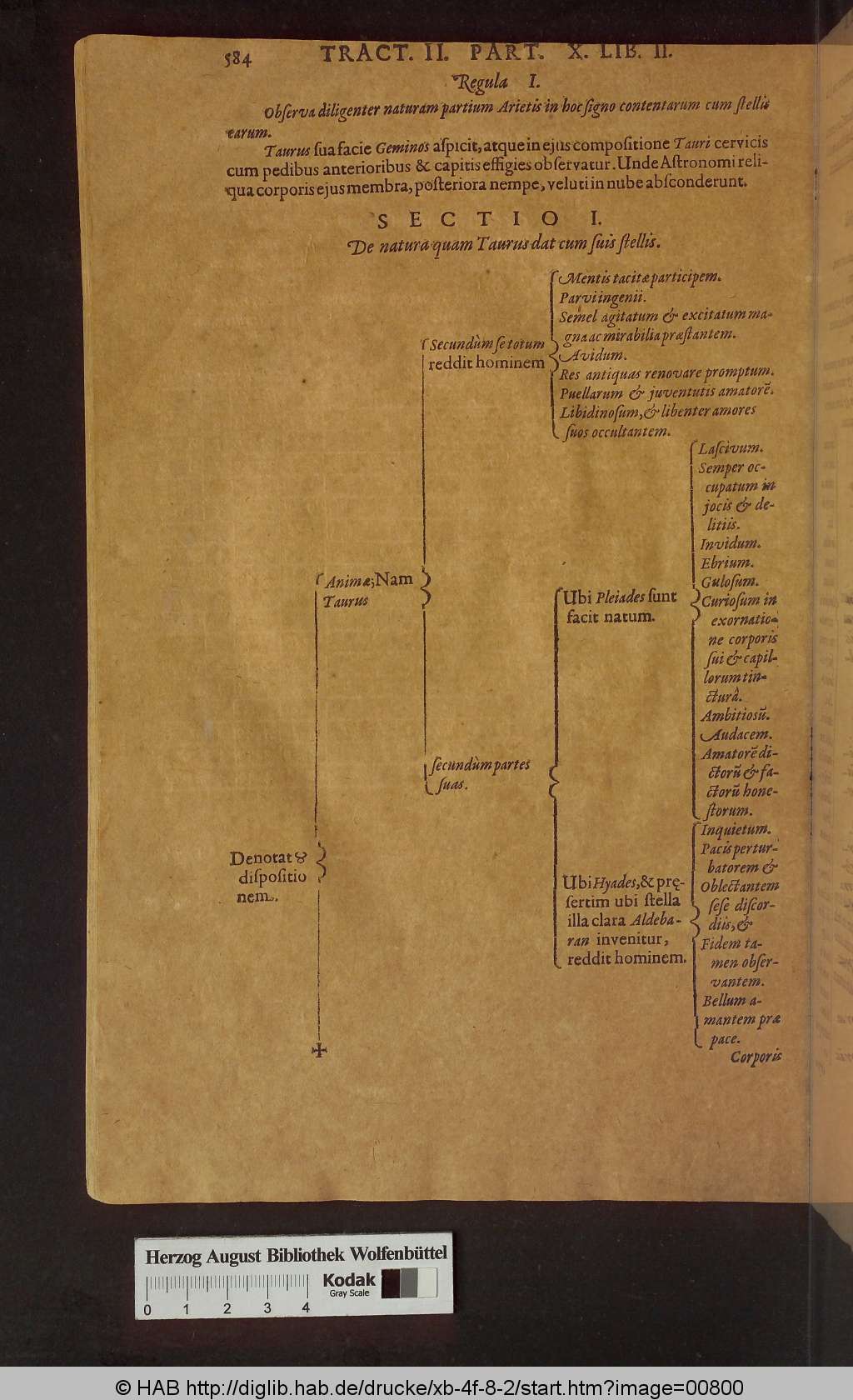 http://diglib.hab.de/drucke/xb-4f-8-2/00800.jpg