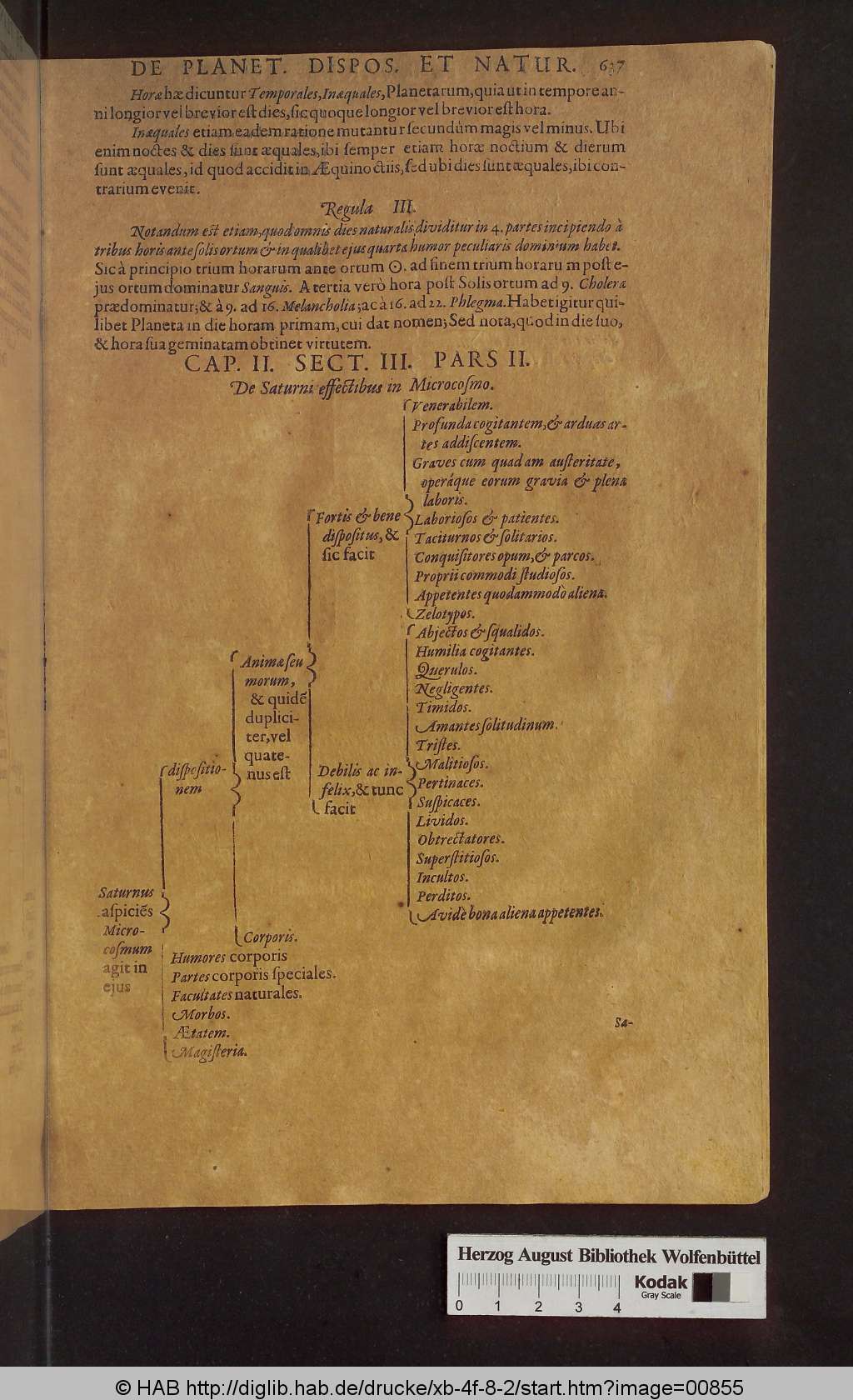 http://diglib.hab.de/drucke/xb-4f-8-2/00855.jpg
