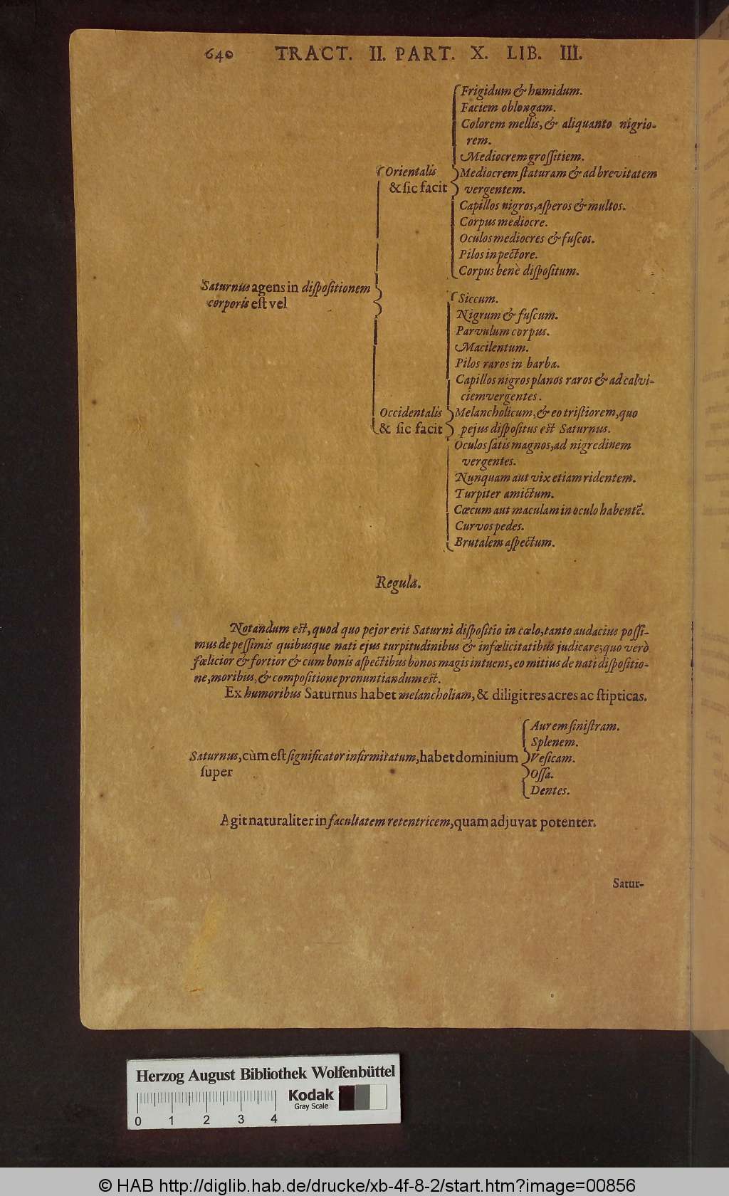 http://diglib.hab.de/drucke/xb-4f-8-2/00856.jpg