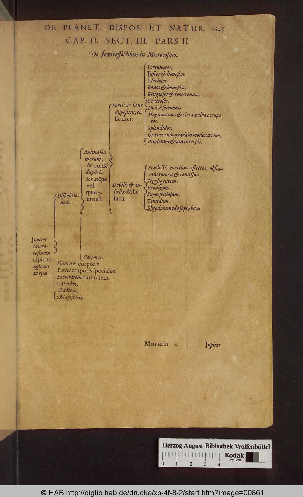 http://diglib.hab.de/drucke/xb-4f-8-2/00861.jpg