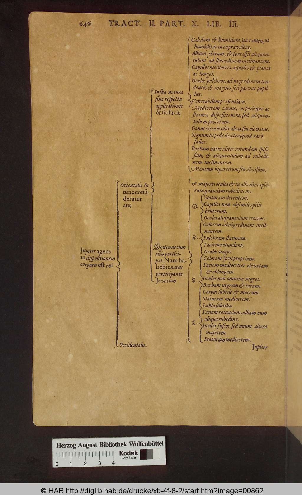 http://diglib.hab.de/drucke/xb-4f-8-2/00862.jpg