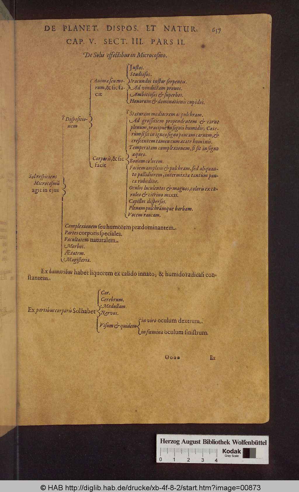http://diglib.hab.de/drucke/xb-4f-8-2/00873.jpg