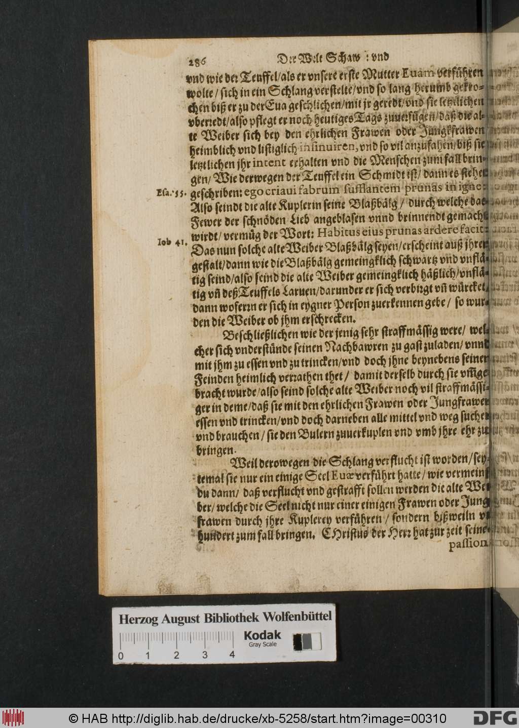 http://diglib.hab.de/drucke/xb-5258/00310.jpg