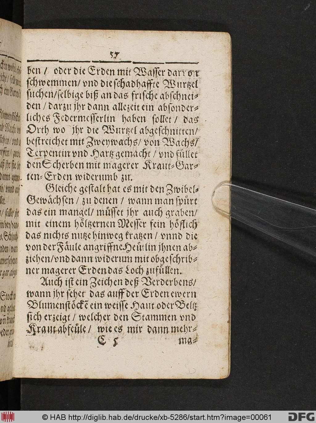 http://diglib.hab.de/drucke/xb-5286/00061.jpg