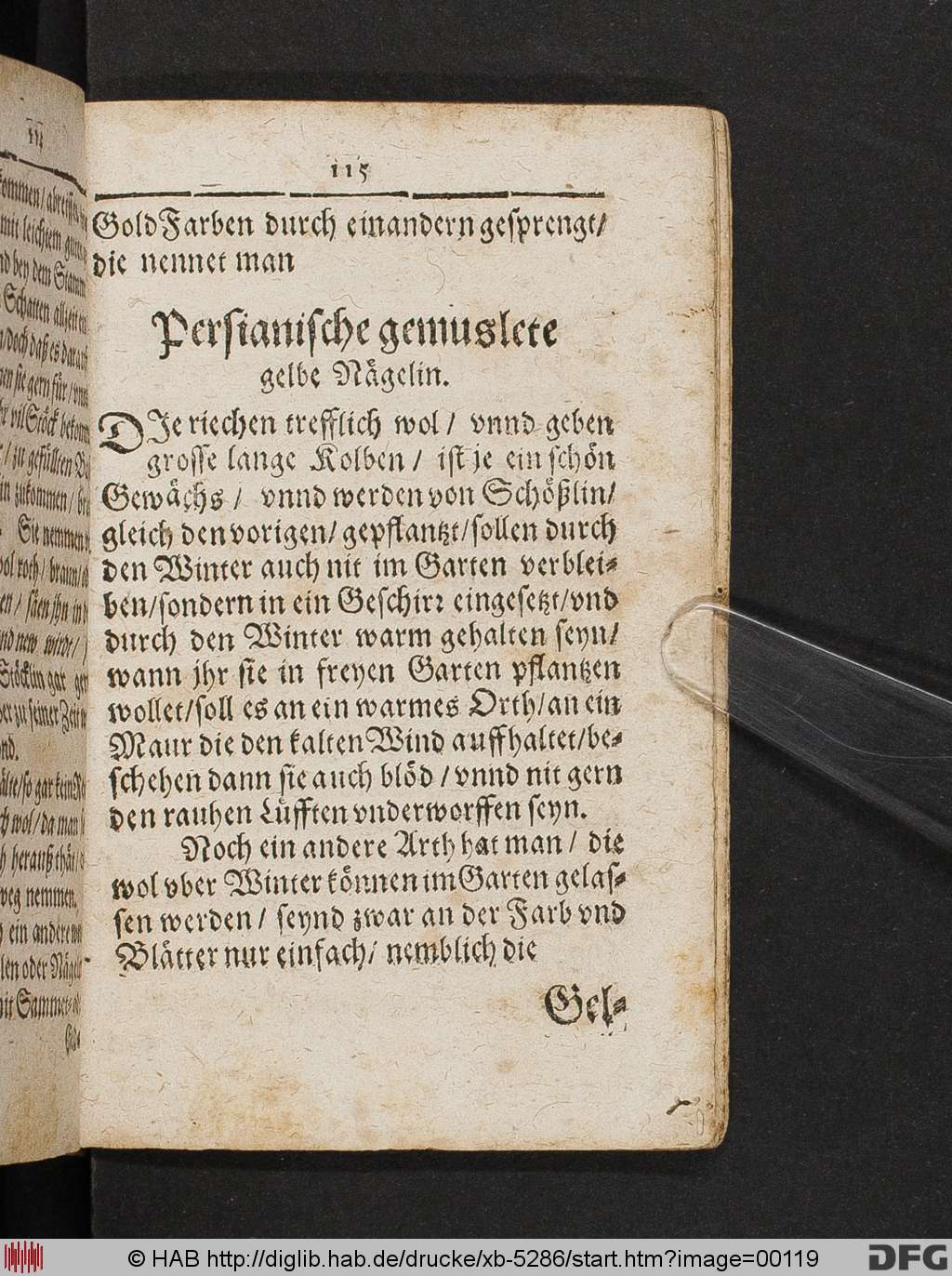 http://diglib.hab.de/drucke/xb-5286/00119.jpg