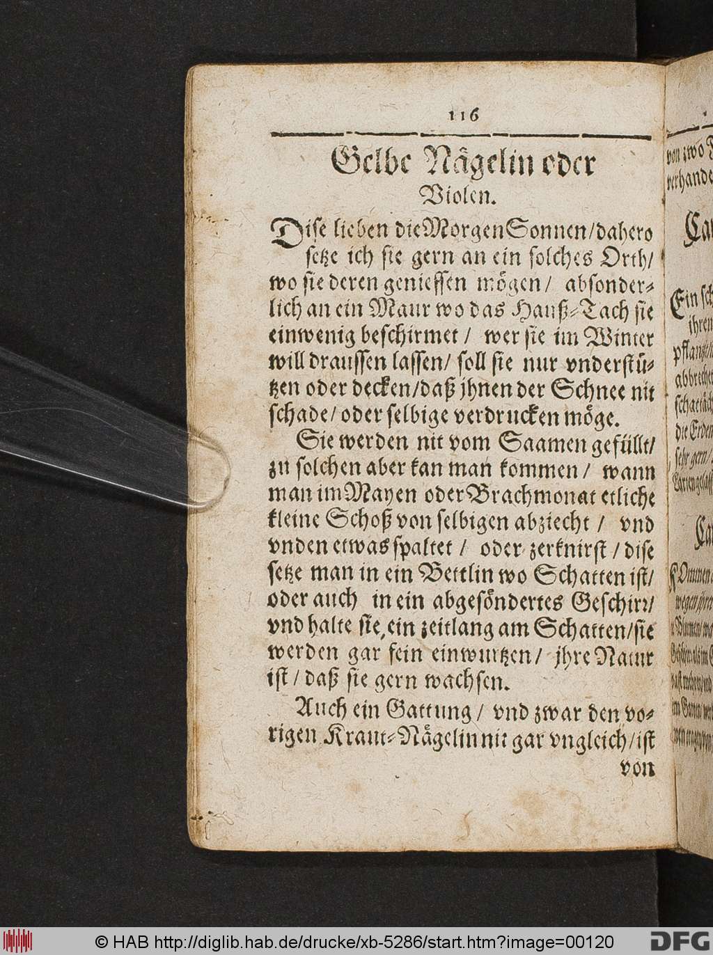 http://diglib.hab.de/drucke/xb-5286/00120.jpg