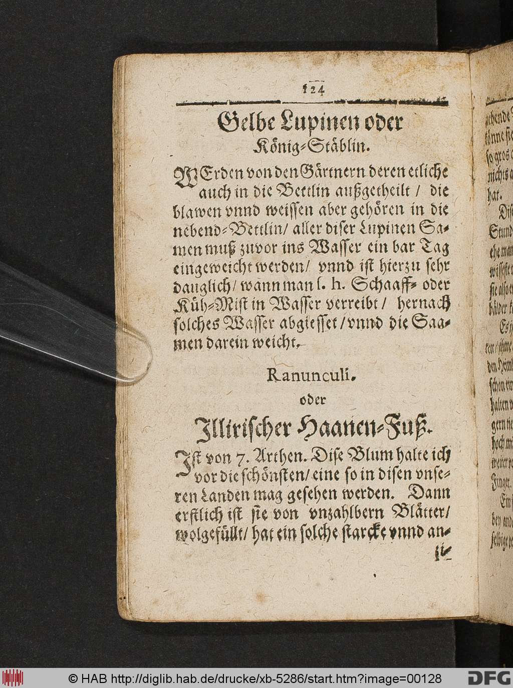 http://diglib.hab.de/drucke/xb-5286/00128.jpg
