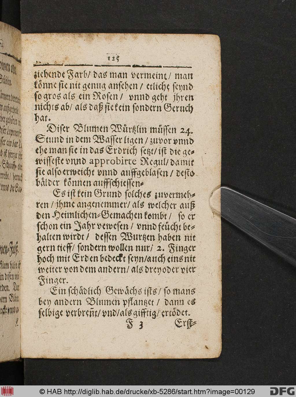 http://diglib.hab.de/drucke/xb-5286/00129.jpg