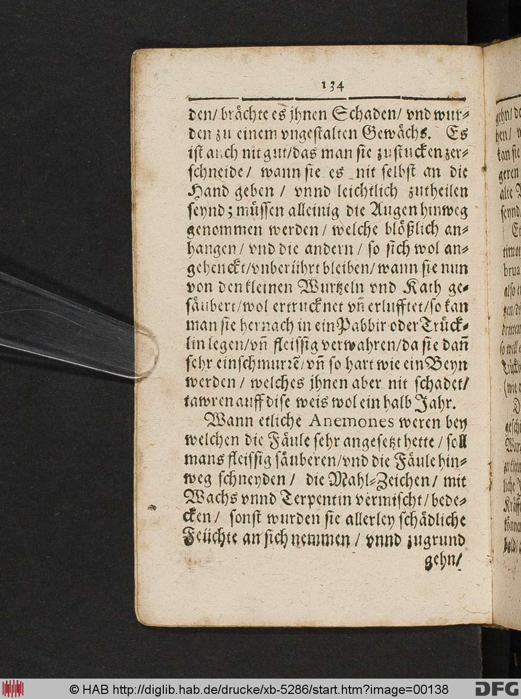 http://diglib.hab.de/drucke/xb-5286/00138.jpg