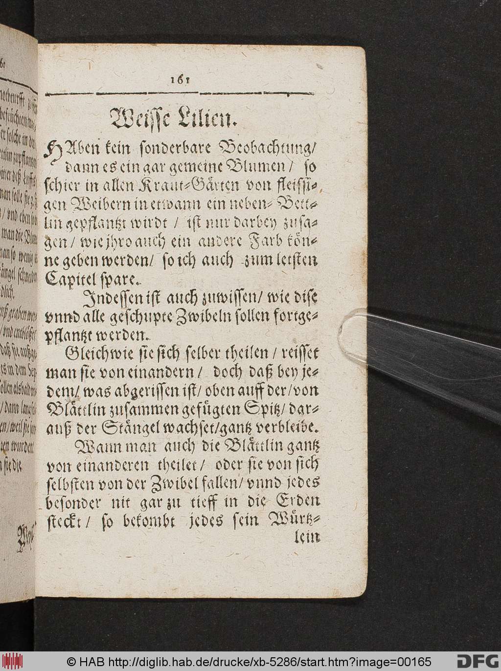 http://diglib.hab.de/drucke/xb-5286/00165.jpg